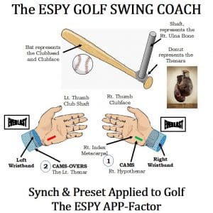 baseball swing sequence