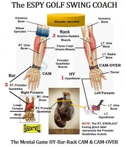 The HY-Bar-Rack Technique used to Cam and Cam-over the wrists in the ESPY golf swing sequence.