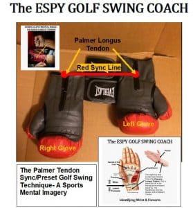 The Palmer tendon golf swing technique for Sports Mental Imagery.