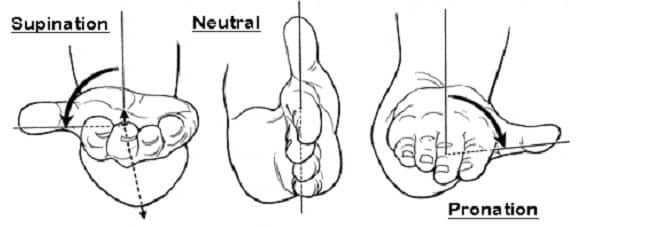 What are Pronation and Supination?