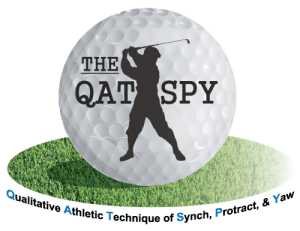 The QATSPY Golfer's Sports Page: Golf Swing Tips