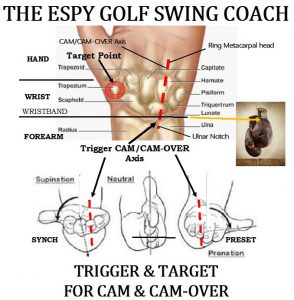 Trigger Muscle to set the Dual Cam Action Golf Swing