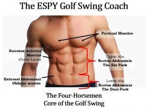 I typically perform the twelve (12) exercise elements in my CASPER Workout Program four times per week, but I perform five of the CASPER Workout Program elements every day as part of my golf swing workout. These five golf swing workout elements consist of: Sit-ups, Abdominal Wheel, Stocking the Shelves using a 15-pound Medicine Ball, and an 80-pound Punching bag workout, and a three-mile bike ride. Strengthening the abdominal muscles is critical to my golf swing and is a predominant part of my daily golf swing workout routine. I don’t perform my golf swing workout before I play golf, however. I just perform my GOLFER Q-Yoga routine to flex and help lubricate my joints.