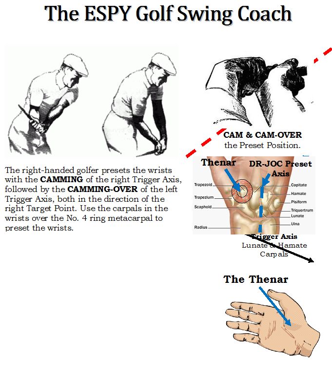 Golf Swing Mechanics The Golfer's Linchpin Muscles ESPY GOLF Swing