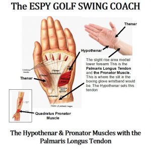 The mental game of golf using the Hypothenars and Pronator muscles