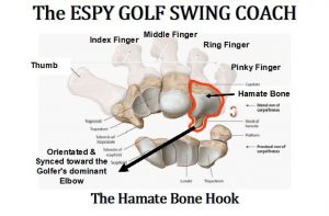Just like in golf, your lead wrist is a key factor. If you are going to fracture or break a bone in your wrists it will be to the Hamate bone. The reason is the hook that protrudes Some golf coaches state that the trail wrist and forearm is just along for the ride, Warren Morris injury proves this.